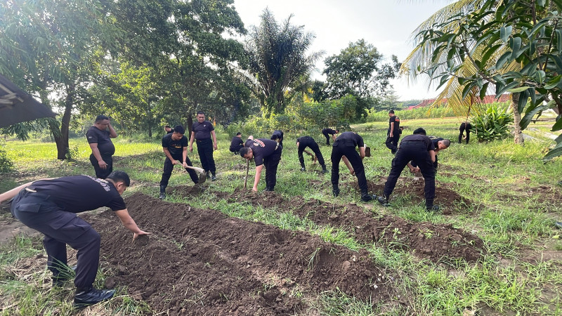 The Rise of AI-Powered Personal Assistants: How They Manage